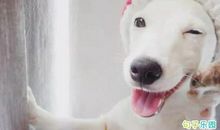 搞笑必点赞的说说 经典搞笑说说笑死人