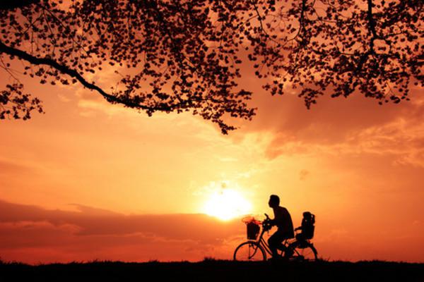    关于父亲的家庭判决  1