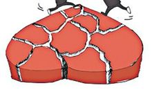 亲情与金钱的句子