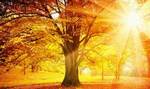 周末短信问候客户简短