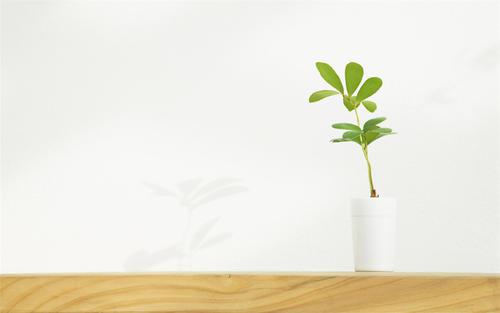 让我们看一下编辑器编写的有关日常祝福中快乐单词的句子