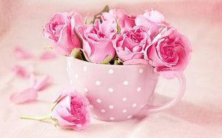 编辑整理了一些有关家庭失踪小姐的死亡的句子