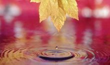 关于秋雨的比喻句