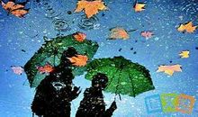 描写秋雨的好句子