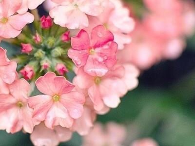 不要将自己视为失败者