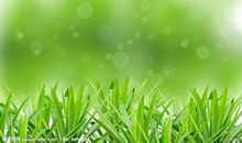 描写春天小草的诗句