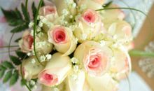 描写鲜花的句子