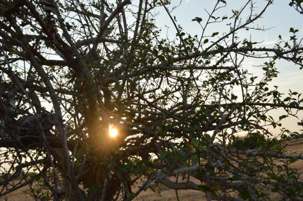 让友谊占据孤独感