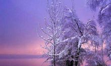 描写冬景的词语