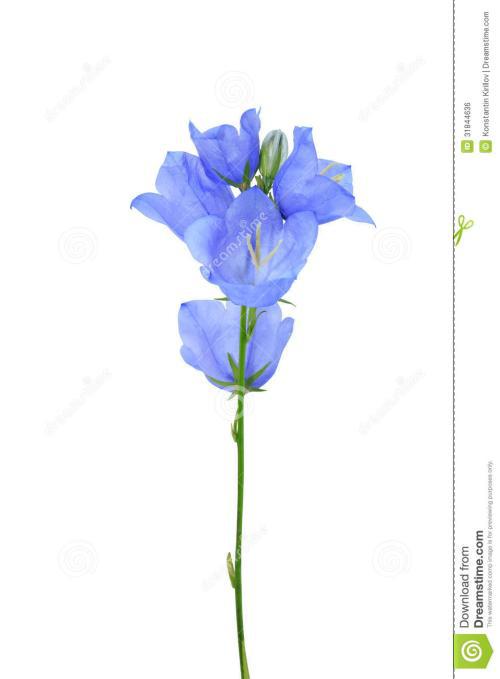 有很多句子对你很高兴