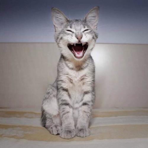 希望每个人都喜欢  1