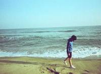 以下是由编辑编辑的一句话