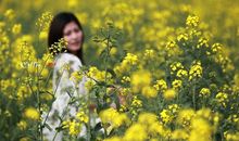 祝女孩工作开心的句子