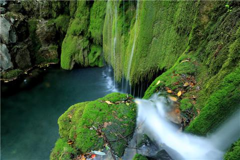 只需掷硬币即可