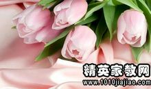 送花祝福语情人节