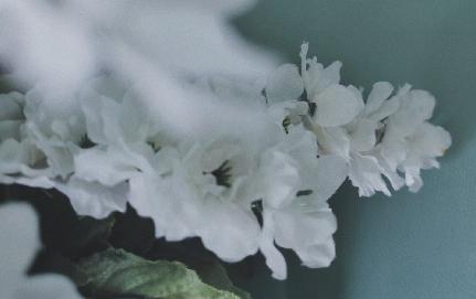 我的世界太小了