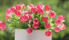 2019适合发朋友圈感恩句子 感谢2019帮助我的人句子