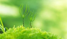 只有高情商的人才能看懂的句子