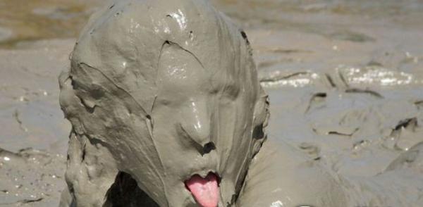     2015年有趣的句子嘲笑死人  1