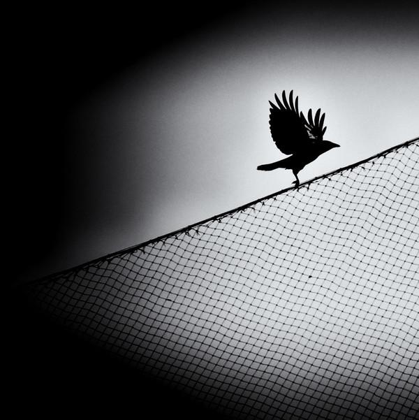 如果是痛苦的句子 1