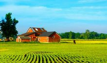 描写乡村田野的句子