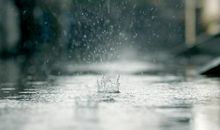 对家庭失望心酸的句子