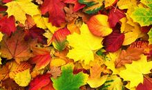 形容幸福的语句