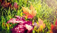 祝福闺蜜结婚幸福句子