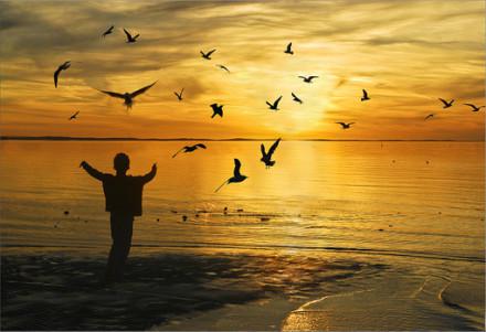 关于生命感的经典句子