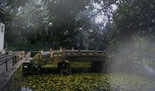 描写冬雨的诗句