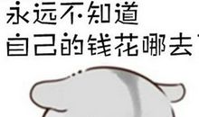 不知道钱花哪里去了的说说