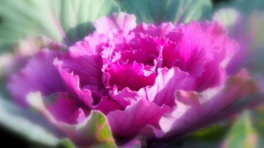 我希望每个人都喜欢