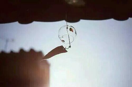 编辑已经整理了一些简短的句子