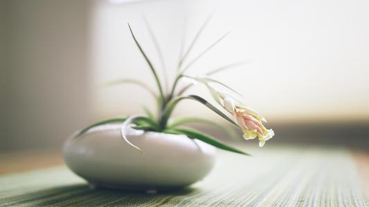 编辑编辑了一些关于珍惜家庭之爱的经典句子