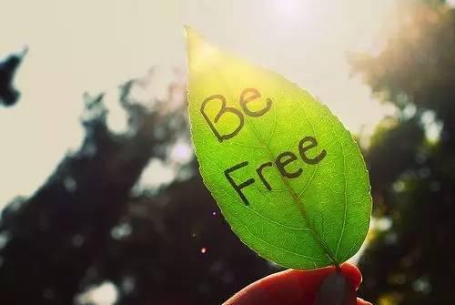 就会慢慢忘记别人的错误