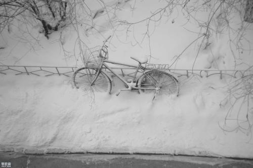 但她却没有像您一样将您视为她的最好的朋友