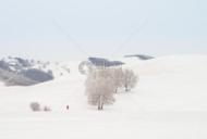 失望有时也是一种幸福