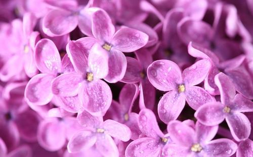 编辑整理了一些关于家庭的句子