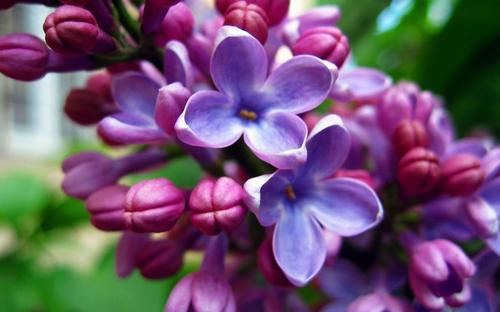 让我们看一下由编辑整理的有关表达珍爱家庭感情并谈论情绪短语的句子