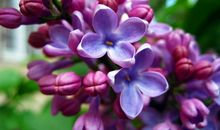 表达珍惜亲情的句子说说心情短语