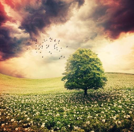 您说过会很伤害我