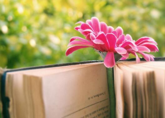 而是没有体验到您想体验的一切