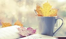 表达祝开心的句子