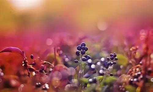 影响你一生的经典人生感悟 12