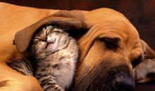 逗人开心的有趣句子