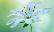 护士节朋友圈说说简短