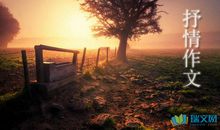 关于错过的抒情美句