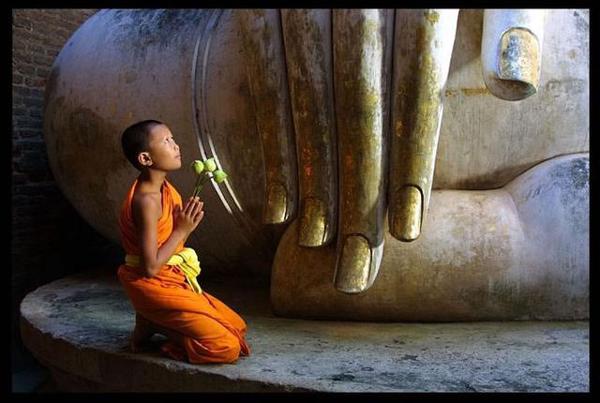    关于业力（3）  1