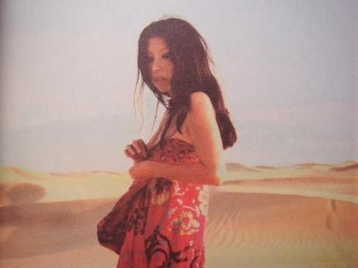 三毛的人生感悟句子     1