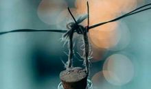 人对父母失望的句子说说